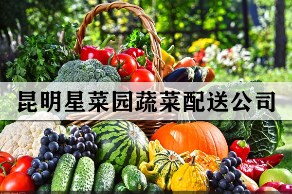 昆明星菜园蔬菜配送公司