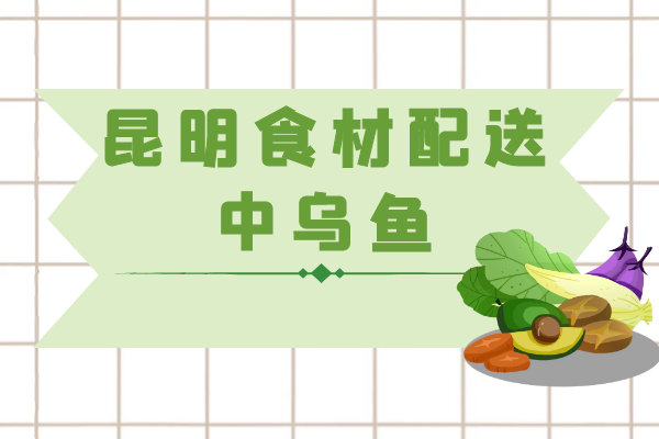 昆明食材配送中乌鱼.png