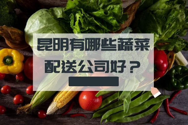 昆明有哪些蔬菜配送公司好？