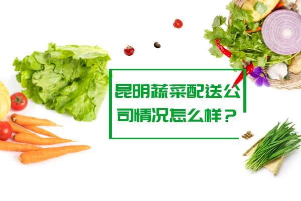 昆明蔬菜配送公司情况怎么样？