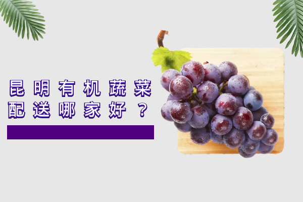 昆明有机蔬菜配送哪家好？